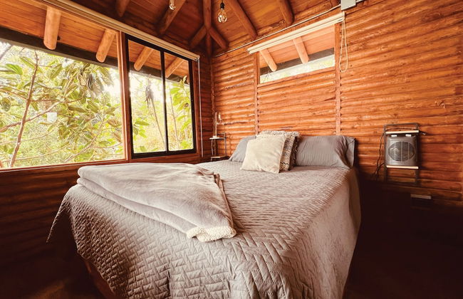 Skyline Ecoliving - Foto 4