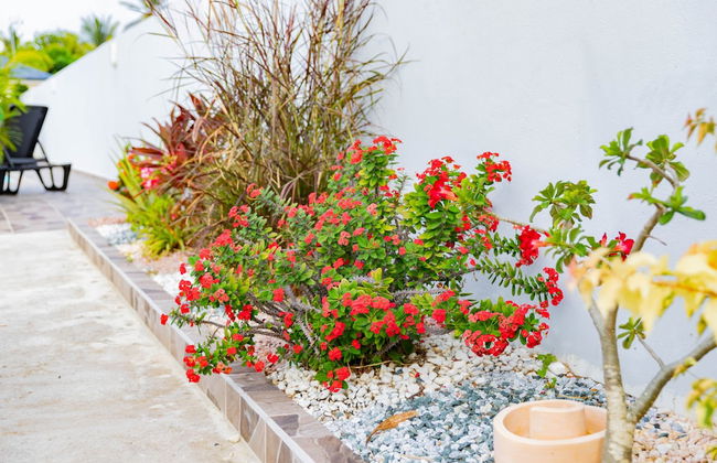 Les paisibles villas C & G - Foto 40