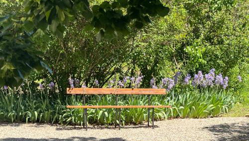 Gite Harmonie - Foto 3, Garden, Garden view