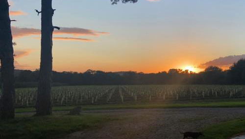 Hot Tub Retreat - Otium Wine Estate - Foto 5