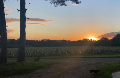 Hot Tub Retreat - Otium Wine Estate - Foto 5