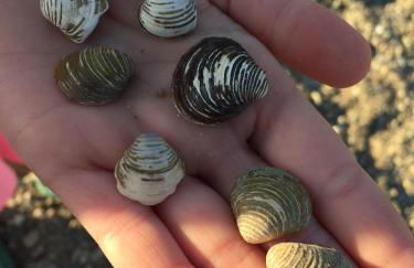 Ferienhaus Andadoana - Foto 27