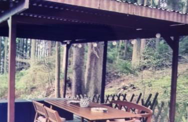 Abenteuerurlaub im Tannenwald - Photo 14