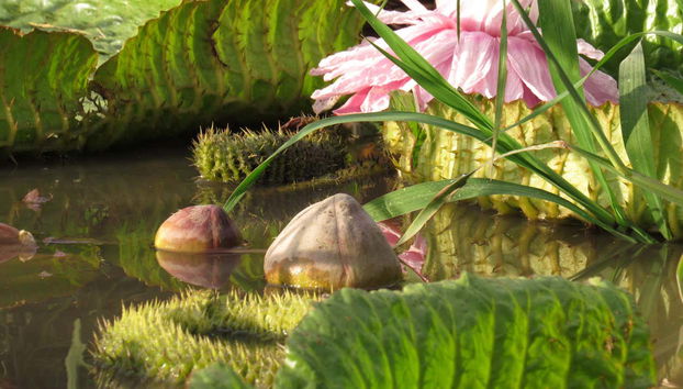 Tour in Avellaneda - Foto 3