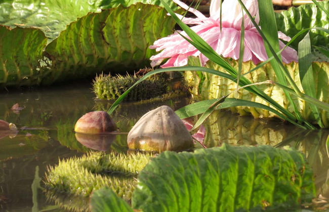 Tour in Avellaneda - Foto 3