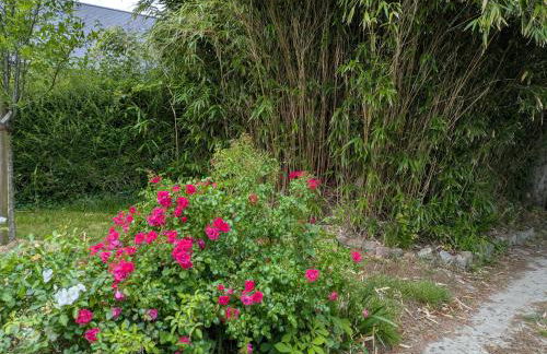 La Jeannette - Foto 44