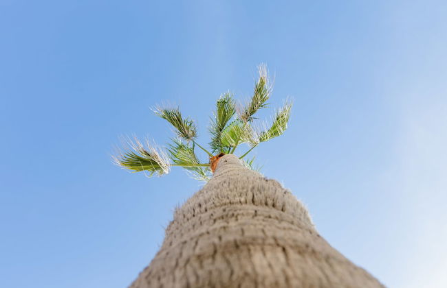 Apartamento Malibú playa - Foto 22