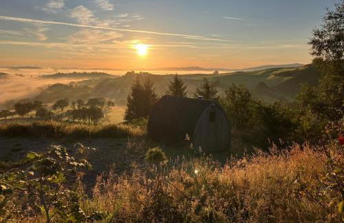 The Granary - Wild Swimming, Sauna, Peace & Quiet, Nr Bala - Photo 23