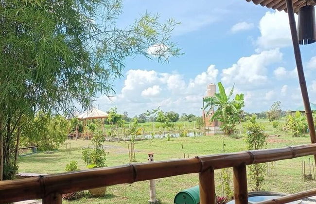 Bamboo Conservation Farm - Foto 34