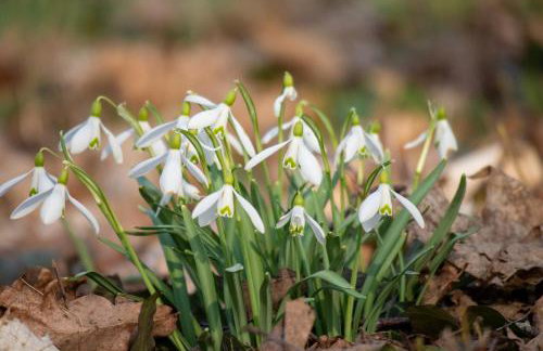 Nemo 4 Bedrooms & Grill - Foto 30