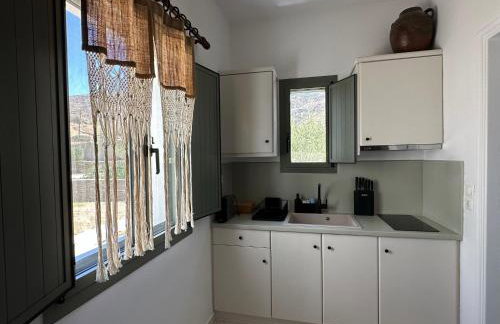 Ammos Andros Accommodation - Photo 43