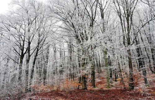 Modern Apartment in Hambachtal Holiday Park - Foto 28