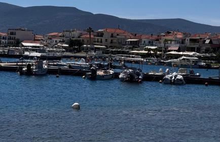 Το Φιλόξενο Σπιτάκι! - The Friendly Nest ! - Foto 46