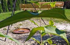 Bieszczadzkie Wzgórze Saunowe- Jacuzzi i Sauna w cenie pobytu - Foto 67