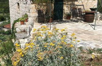 Apartments with parking space Gruda, Dubrovnik - 24966 - Photo 3