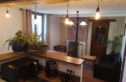 Chenonceau et le zoo de Beauval à deux pas - Foto 2