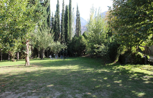 Springfield - Photo 16