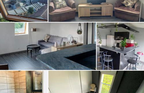 Rouen : Vue panoramique sur la seine avec parking - Foto 10