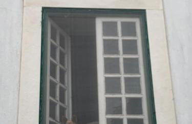 Santuário SOS Animal - Foto 42