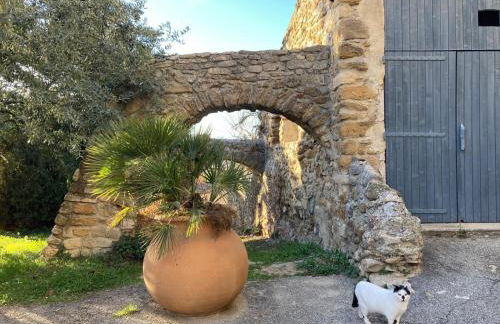 La Méladière - Foto 66