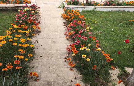 Venus Sea View Apartment - Foto 25