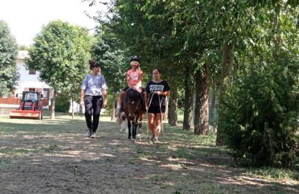 La Tenuta Va Oltre - Foto 58