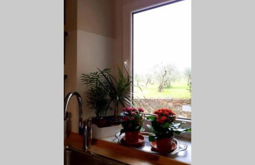 Allie's flat - Foto 1