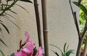 Maison familiale : charme & nature - Foto 11