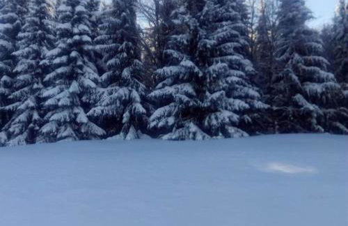 Ferienhaus in Vogtland - Foto 42