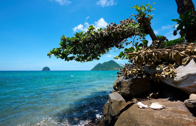 Diamant Beach - Photo 40