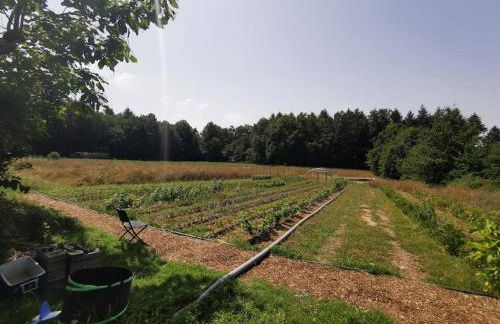 La grange de Pierrot - Foto 28