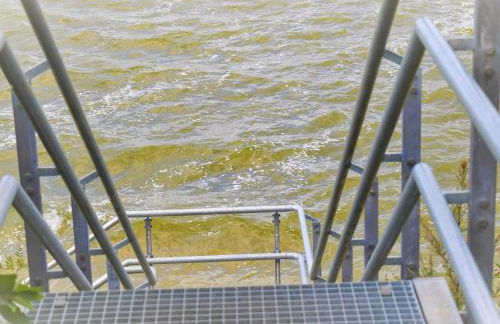 Bungalow am Sund - Foto 13