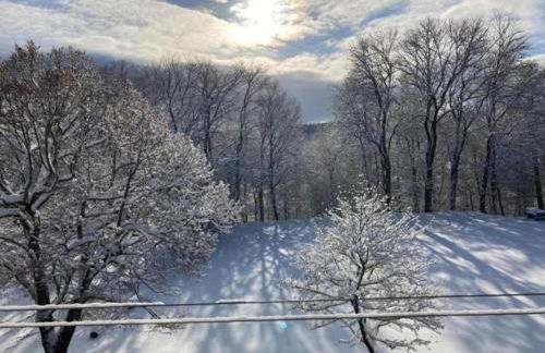 Gorgeous Holiday Home in Altenfeld Thuringia - Foto 137