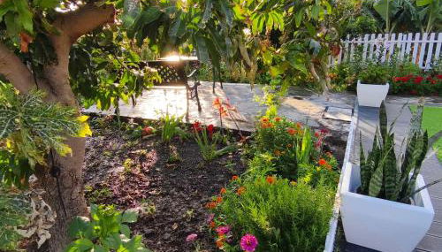 La Finca De Victoria Alojera - Foto 5