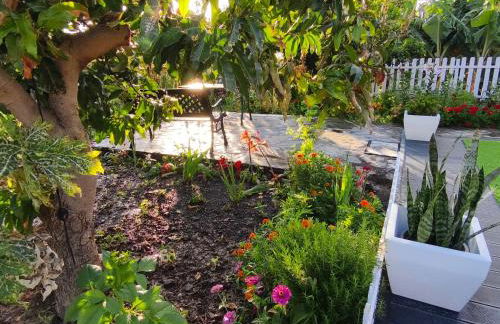 La Finca De Victoria Alojera - Photo 5