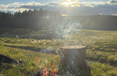 Agroturystyka Żółta Ostoja - Foto 14