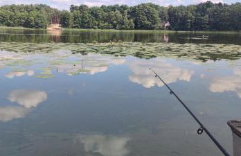 Żurawisko - Domki wśród natury - Foto 34