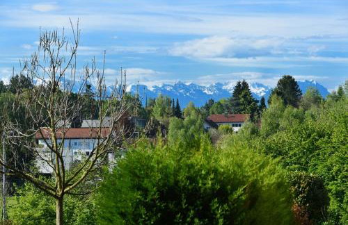 Dinkelbach Landhaus 1 A - Photo 14