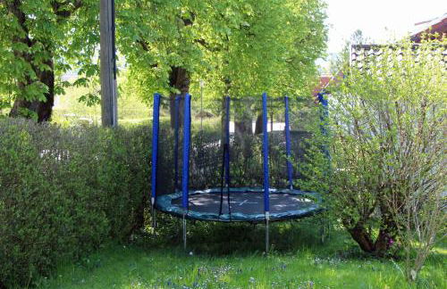 Hibiskus - a83456 - Foto 19