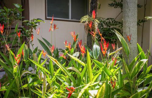 Hale Mauka - Foto 40