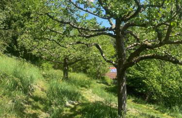 Haus der Behaglichkeit - Foto 27