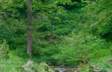 Oak Tree Cottage - Foto 22