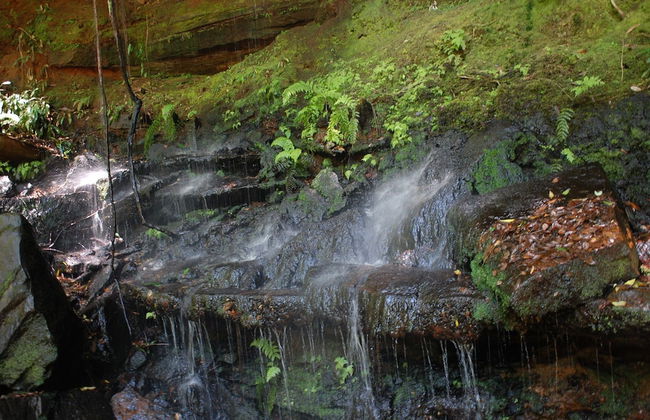 Wildside Sanctuary - Foto 52