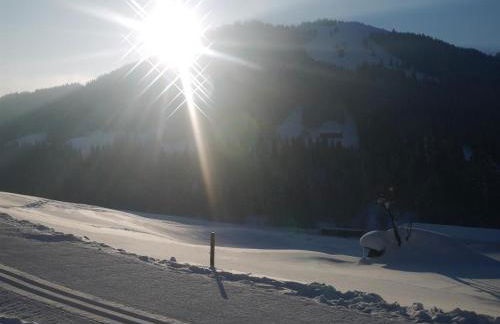 Alte Schmiede - Photo 4