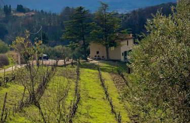 Casa Loumavi - Foto 9