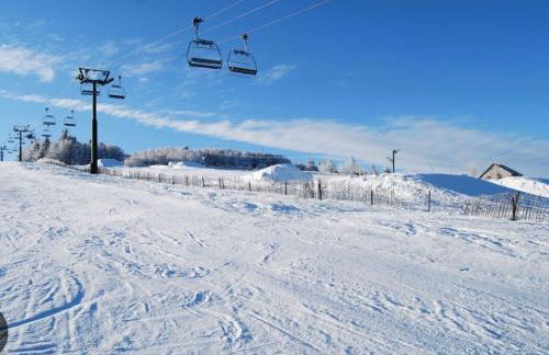 Gîte Spa "La Foret Argentée" proche Gérardmer - Foto 66