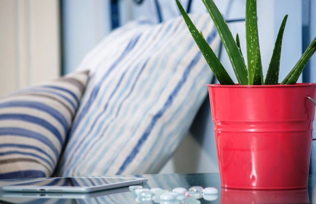 Paradise Resort - Foto 10