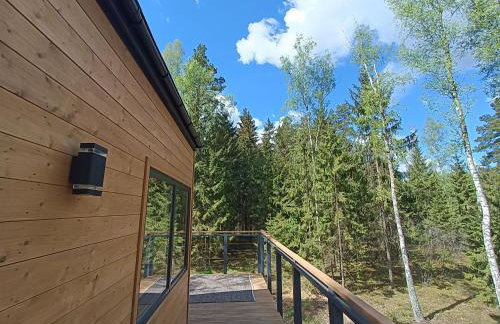 Zdalnie z Lasu - Siedlisko w Puszczy Białowieskiej - Foto 25