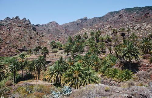 Casa Julia 1 Ático vista playa Las Teresitas - Foto 27