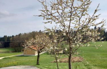 Ferienwohnung am Dreiseithof - Foto 20